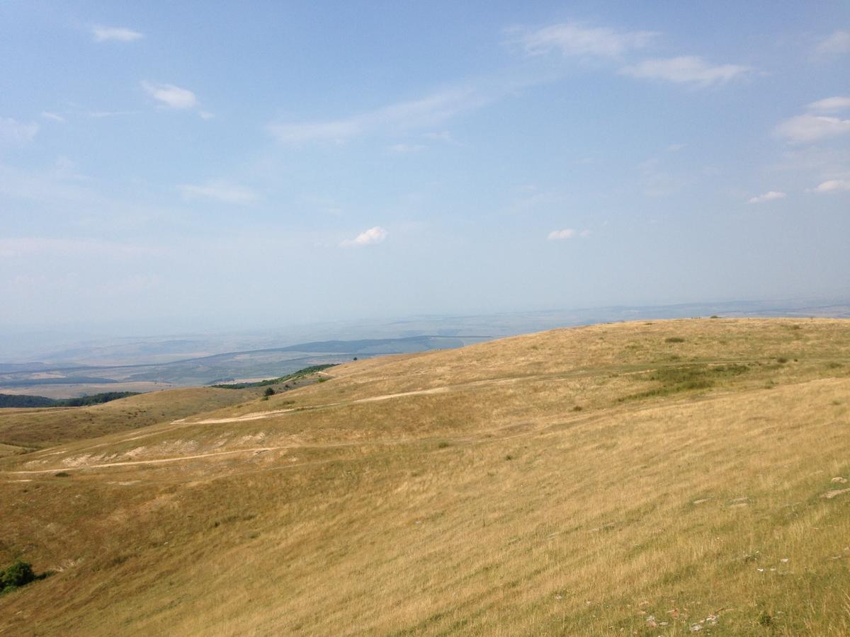 Pensiunea Casa Buna Girbova Bagian luar foto