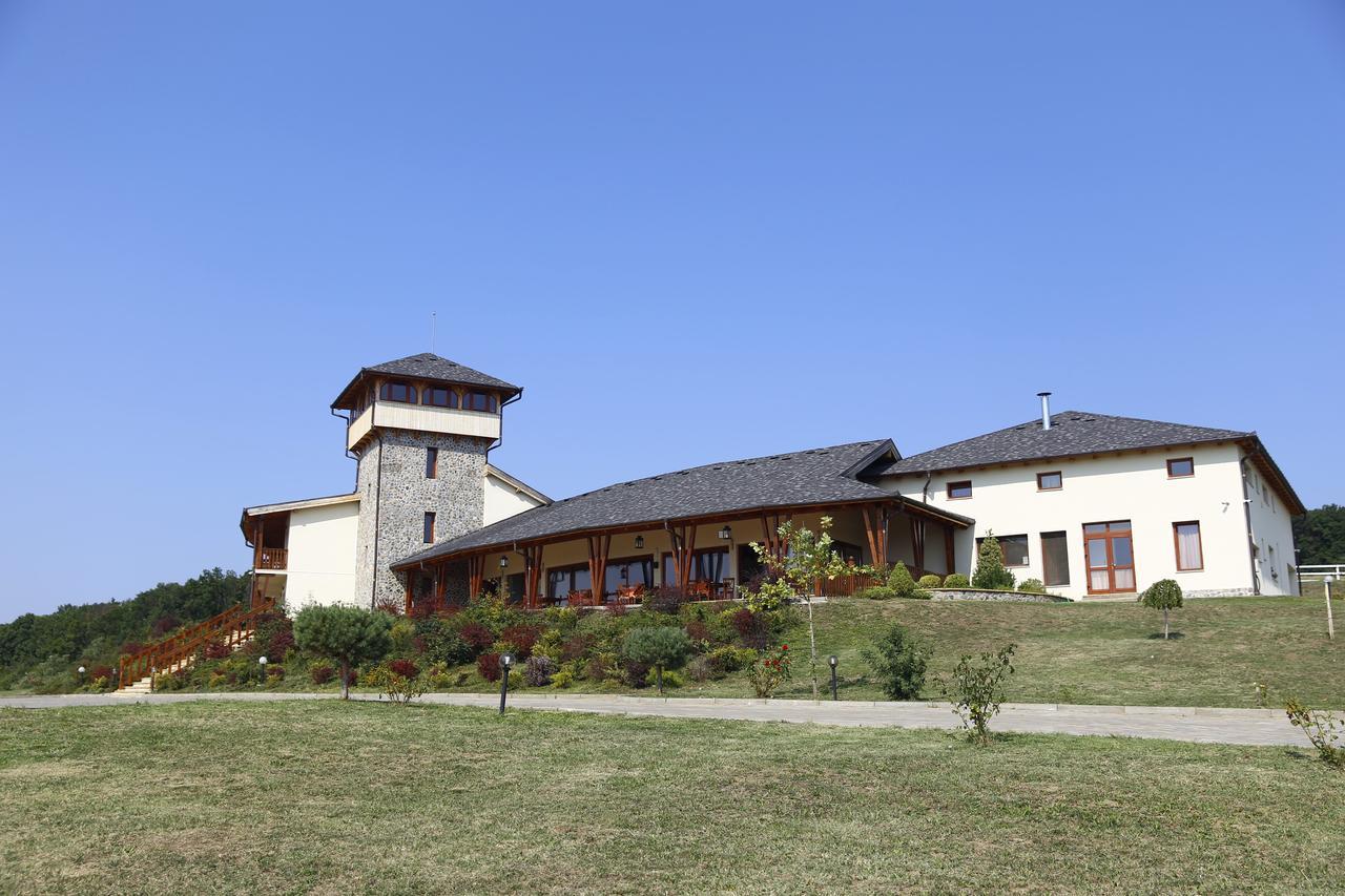 Pensiunea Casa Buna Girbova Bagian luar foto