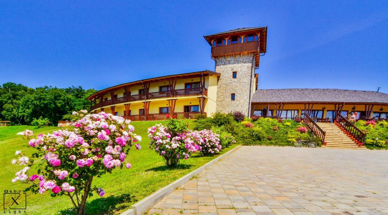 Pensiunea Casa Buna Girbova Bagian luar foto